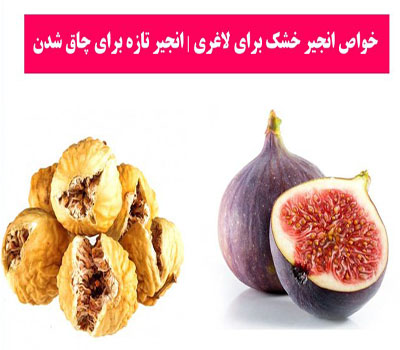 آیا انجیر بر لاغری تاثیر میگذارد؟